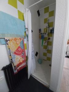 a bathroom with a shower with a shower curtain at Une chambre presque en ville in Quimper