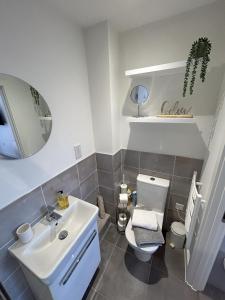 een badkamer met een wastafel, een toilet en een spiegel bij Apartment in Ashford with Large Terrace in Ashford