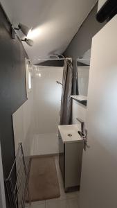 a small bathroom with a shower and a sink at Charmante Maison de Village T3 Rénovée et son Jardin in Revel