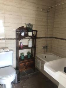 La salle de bains est pourvue d'une baignoire, de toilettes et d'un lavabo. dans l'établissement Departamentos Quintaviña K15, à Viña del Mar