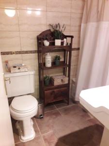 La salle de bains est pourvue de toilettes et d'une étagère avec des plantes. dans l'établissement Departamentos Quintaviña K15, à Viña del Mar