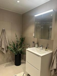 a bathroom with a sink and a potted plant at TheNorthernExplorer Penthouse in Tromsø +50 photos