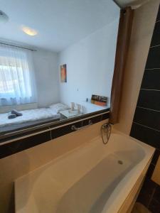 a bathroom with a bath tub and a bed at Apartment Vesna Toplice Sveti Martin in Sveti Martin na Muri