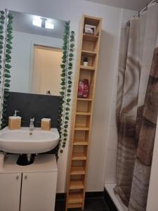 a bathroom with a sink and a mirror and a shower at Ferienwohnung Köln in Cologne