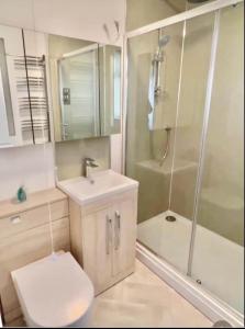 a bathroom with a toilet and a shower and a sink at Betty's Bungalow in Lancing