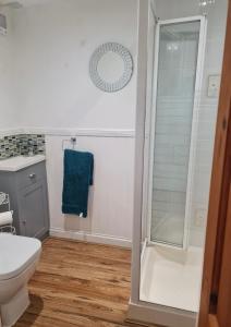 a bathroom with a shower and a toilet at 2 Swinton Mill Farm Cottage in Swinton