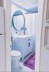 een badkamer met een wit toilet en een spiegel bij New Beautiful Condo In Bayonne near NYC. in Bayonne