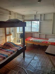 um quarto com 2 beliches e uma janela em Schmidt’s Natures Way Guesthouse em Punta Gorda