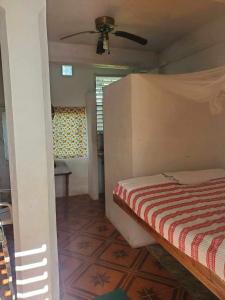 um quarto com uma cama e uma ventoinha de tecto em Schmidt’s Natures Way Guesthouse em Punta Gorda