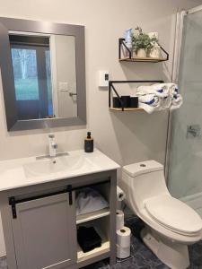 a bathroom with a toilet and a sink and a mirror at Private Waterfront SPA Perfect Sunsets Lake in Nominingue