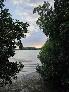 a view of a body of water between two trees at Willo's Treehouse in Escuintla