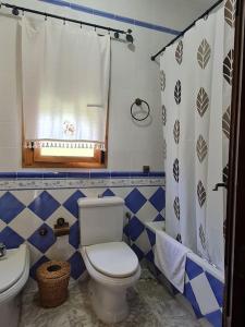 a blue and white bathroom with a toilet and a sink at La Flor De La Xara in Alájar +27 photos