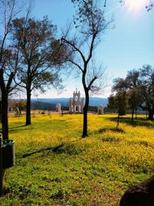 a field with trees and a building in the background at La Flor De La Xara in Alájar