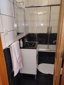 een badkamer met een wastafel en een spiegel bij Delfina`s House in Machico