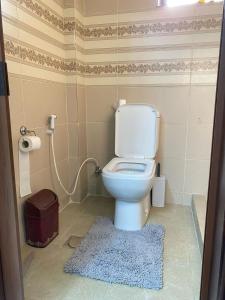 a bathroom with a toilet with a rug in it at Jerash Heart in Jerash