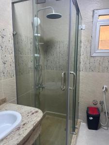 a shower with a glass door next to a sink at Monte cairo Pool View in Cairo
