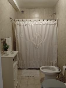y baño con aseo y cortina de ducha. en Departamento Alvear 388 en Salta