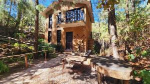 a house in the woods with a tree stump in front of it at Cabañas Rincón de la Montaña in San Cristóbal de Las Casas