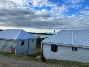 a dog sitting next to a white building at Arenas de Ancud in Ancud