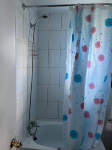 a bathroom with a shower with a shower curtain at Arenas de Ancud in Ancud