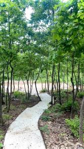 um caminho através de uma área arborizada com árvores em Villa Panorama em Lipljan