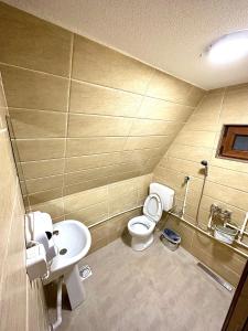 uma casa de banho com um WC e um lavatório em Villa Panorama em Lipljan