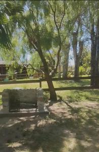 a park bench sitting under a tree in a park at Cabaña Pelulandia in Playa Verde
