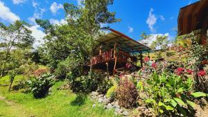 a house on a hill with flowers in the foreground at Hospedajes Richie Eco Camp in Providencia