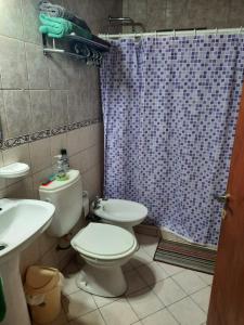 a bathroom with a toilet and a shower curtain at Lo de Milo in Roque Sáenz Peña