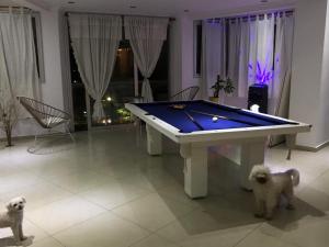 twee honden die voor een pooltafel staan bij Habitación privada, La Plata in La Plata