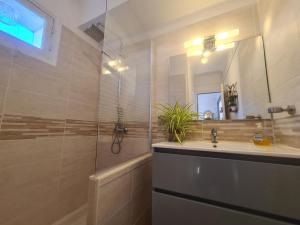 a bathroom with a shower and a sink and a mirror at Maison avec jardin, Spa privatif à proximité de Beauval et Valençay - FR-1-591-345 in Val-Fouzon +5 photos