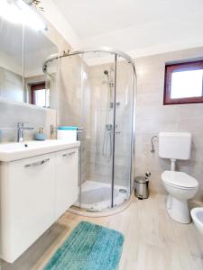 ein Bad mit einer Dusche, einem WC und einem Waschbecken in der Unterkunft Apartments with a parking space Gornji Picudo, Umag - 22354 in Umag
