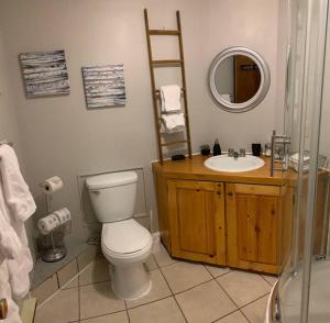 a bathroom with a toilet and a sink and a mirror at Lake St-Joseph Waterfront SPA SAUNA Gaming room in Saint Adolphe D'Howard