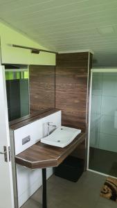 uma casa de banho com um lavatório e um espelho em Tropische Träume em Doctor Juan Manuel Frutos