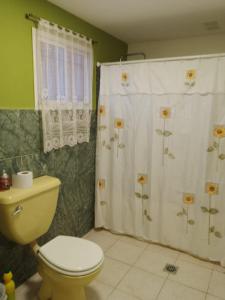 Apart Dos Leones Temporario في تريليو: حمام مع مرحاض ودش