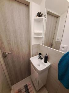 a small bathroom with a sink and a mirror at Flat near the Vyšehrad Castle in Prague