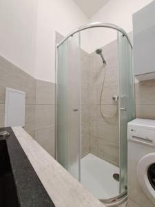 a shower with a glass door in a bathroom at Flat near the Vyšehrad Castle in Prague