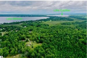 una vista aérea de un bosque de árboles junto a un lago en Spacious and private Cadillac home, en Cadillac