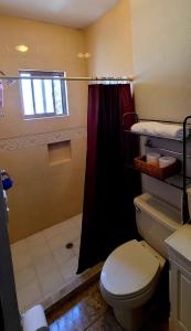 ein Bad mit einem WC und einer Dusche in der Unterkunft Casa Arboleda in Saltillo