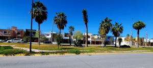 une rue vide avec des palmiers dans une ville dans l'établissement Casa Arboleda, à Saltillo