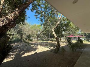 vistas a un parque con un árbol en Magalong Villa at Holy Land in Busuanga, en Busuanga