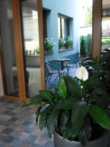 a room with a patio with a table and a plant at Hotel Santin in Bełchatów