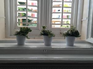 Fotografia z galérie ubytovania Villa Peppina Apartment v Lovrane
