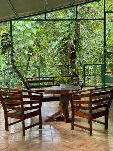 une table et deux bancs devant un arbre dans l'établissement Grettel´s House Apartments, La Fortuna de San Carlos, à Fortuna