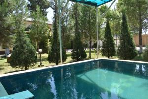una piscina en un patio con árboles en ADMIRAL, en Termiz