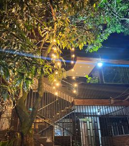 een reeks van lichten hangend aan een boom bij LUXURY PALACE POBLADO MANILA in El Poblado