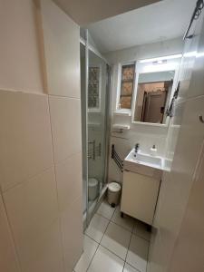 een badkamer met een wastafel en een toilet bij Studio apartman Luka in Zagreb