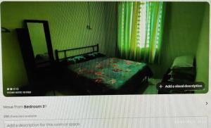 een groene slaapkamer met een bed en een spiegel bij TEMERLOH ZAMIRA HOMESTAY ( AREA HOSHAS) in Temerloh