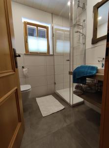 a bathroom with a shower and a toilet and a sink at Eckarthof in Schneizlreuth