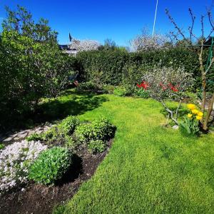 a garden with flowers and plants in the grass at Anttoninvahe 7 130m2 with garden and sauna etc in Rauma